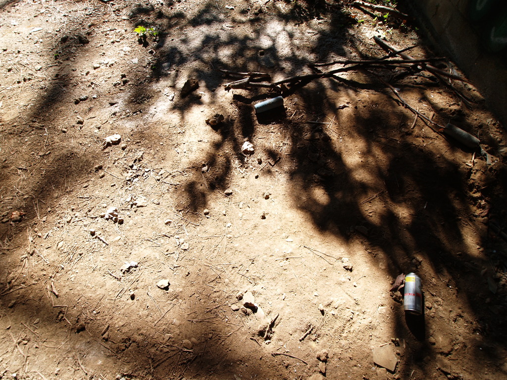 image of ruin tree