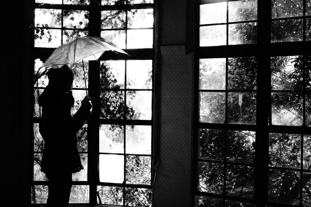 window screen