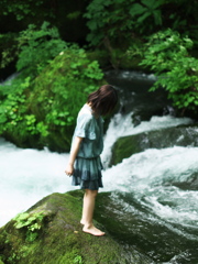 Into the wild