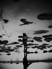 downside up