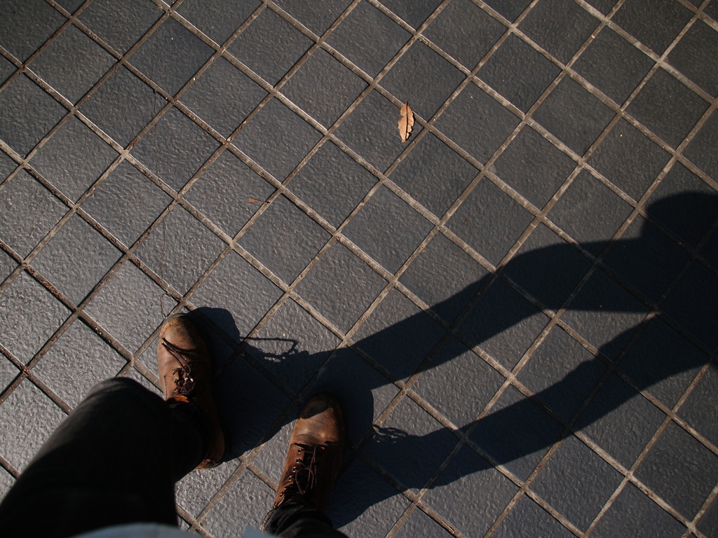 ♯