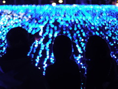 LIGHT POOL