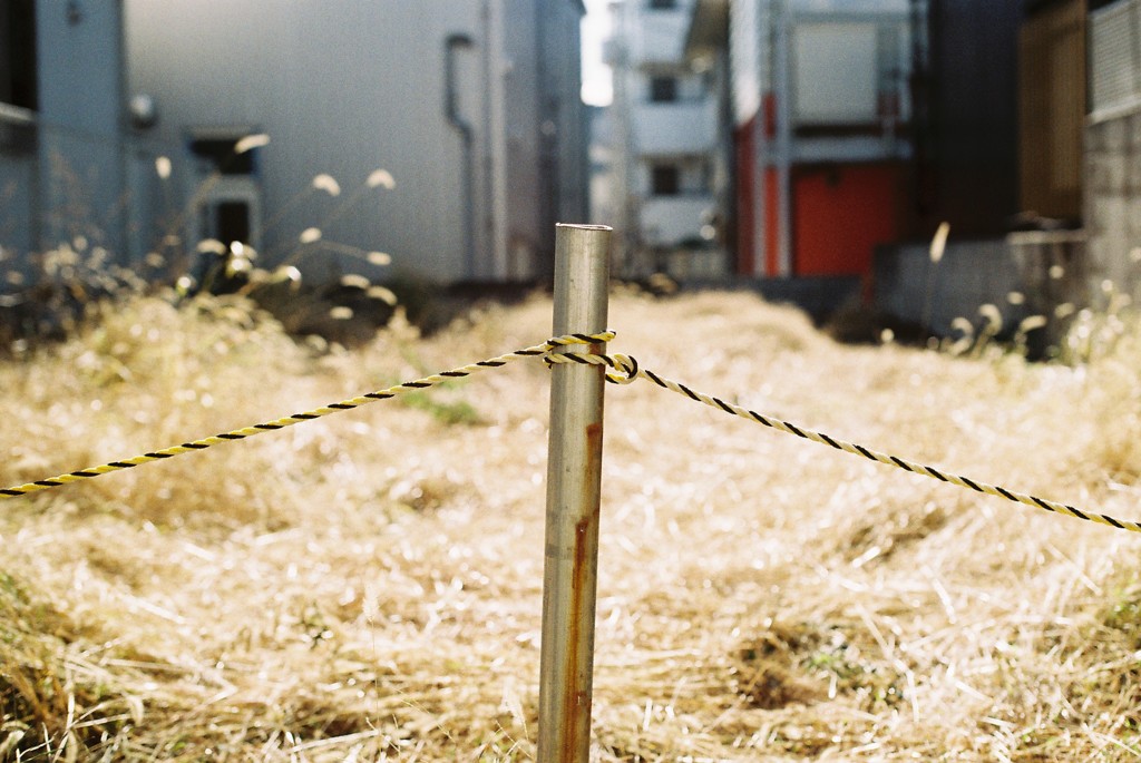 arrow