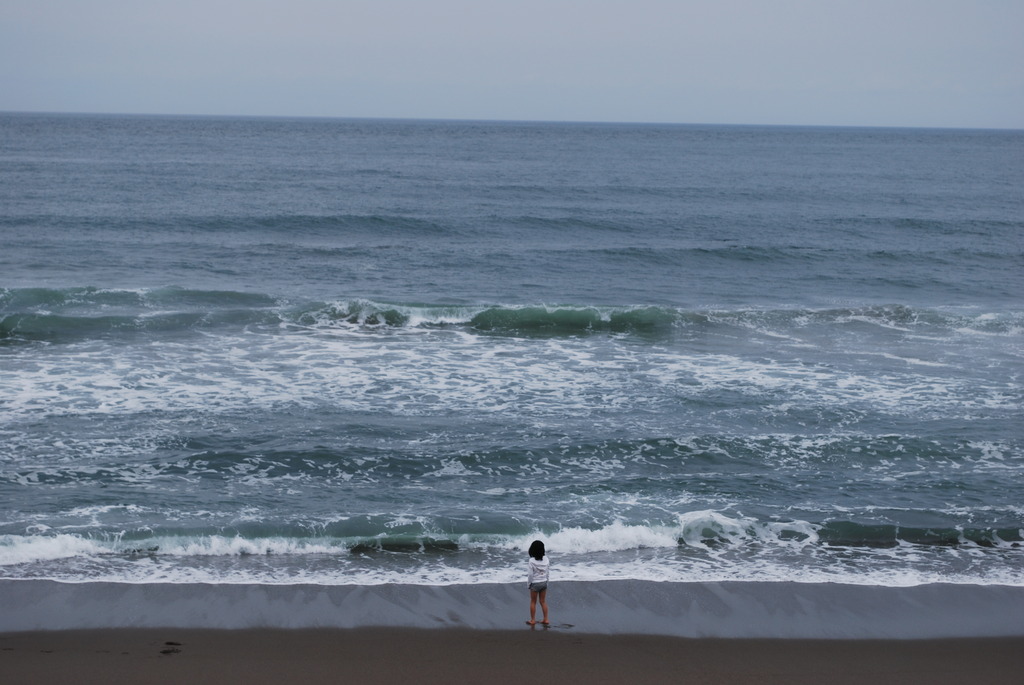 海岸