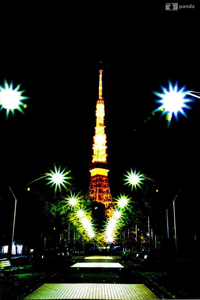 LIGHT UP　TOKYO TOWER