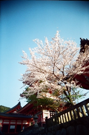 清水寺