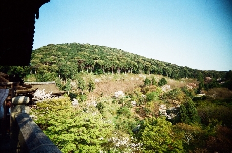 舞台からの風景