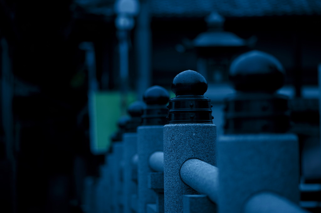 雨のお寺にて。