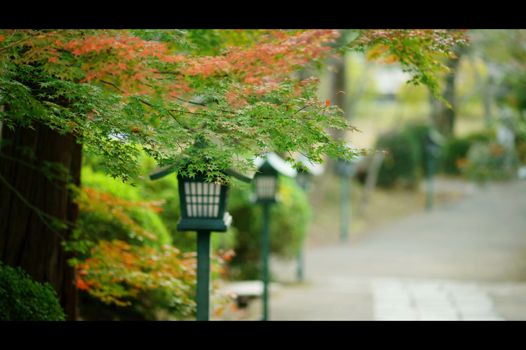 参拝道。