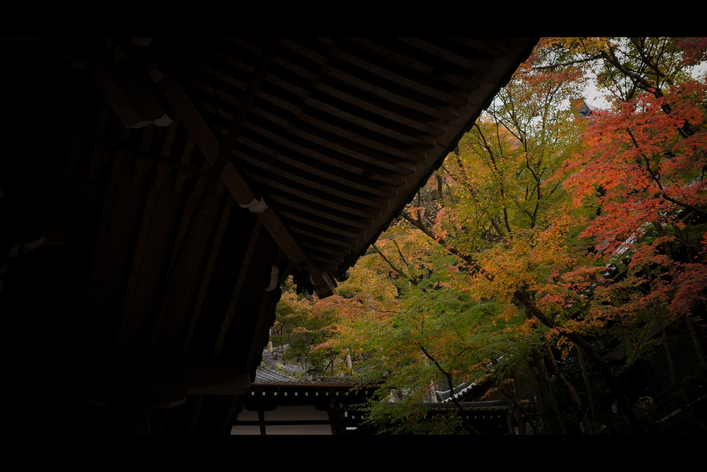 秋のぶらり京都　14
