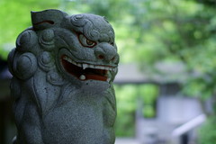 神社にて