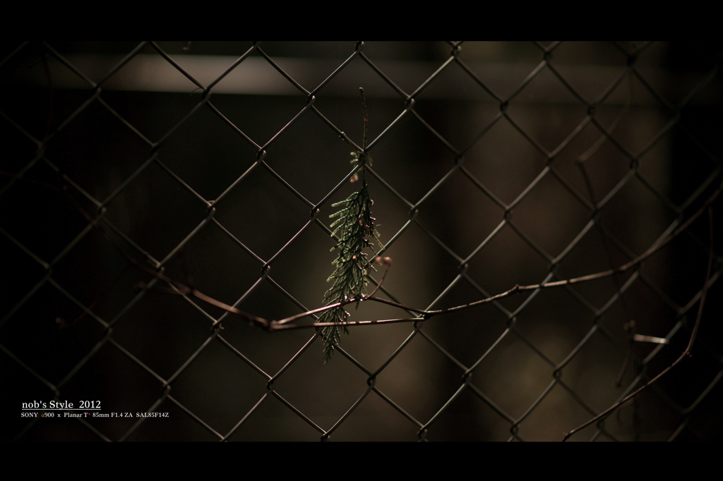 KEEP OUT。
