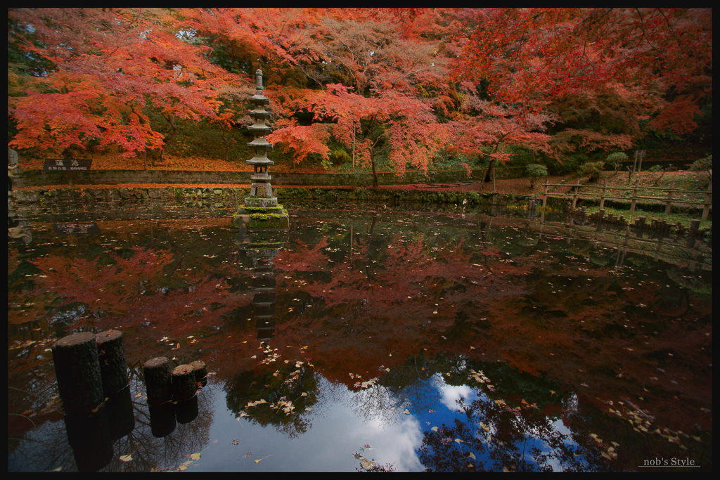 晩秋 | 寺巡り　 14