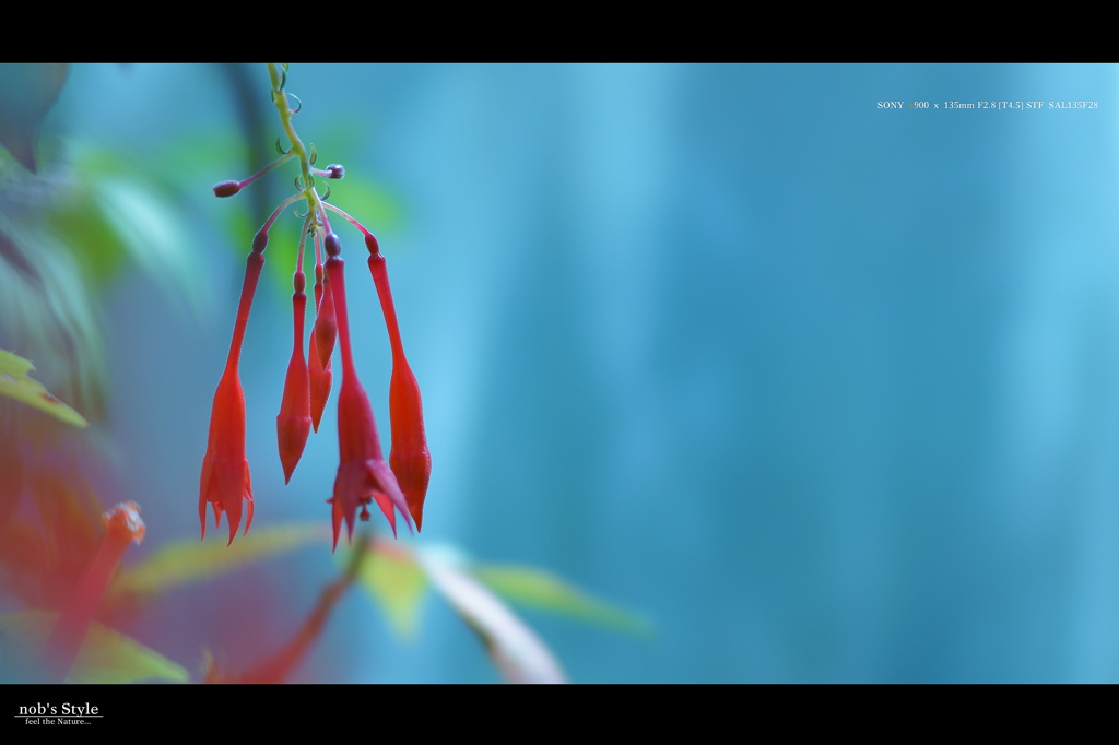 GREENHOUSE　＜ 04 ＞