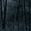 侍　- Take -