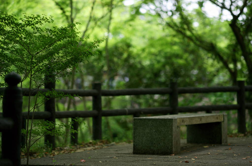 木陰でひと休みシリーズ３