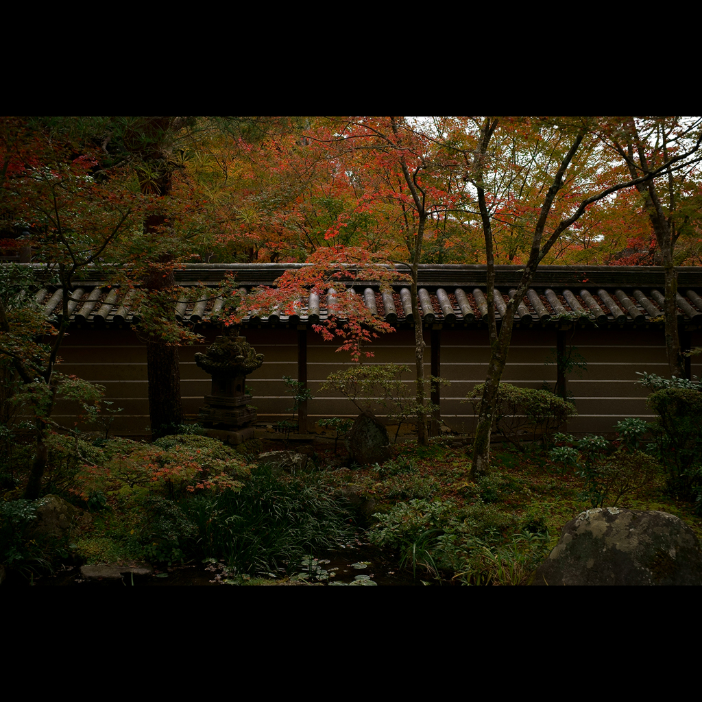 秋のぶらり京都　10