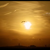 夕日に向かって。