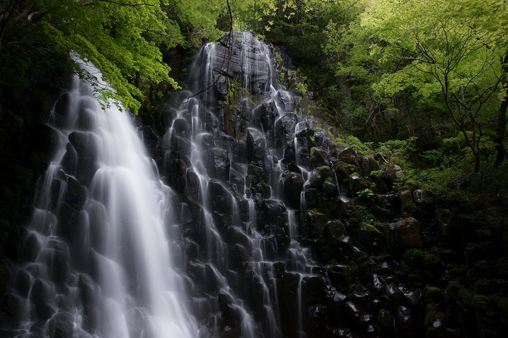 Stillness and Motion