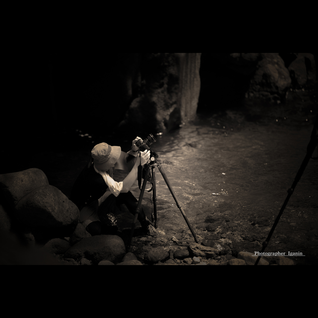 Photographer  -  Iganin  -