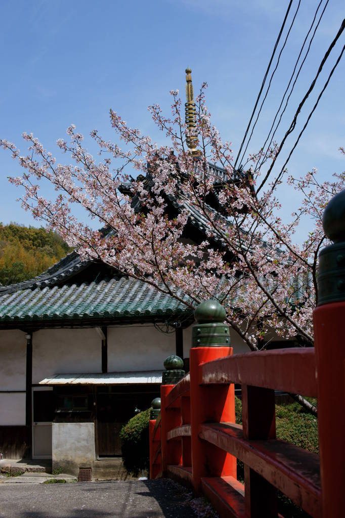 神社にて