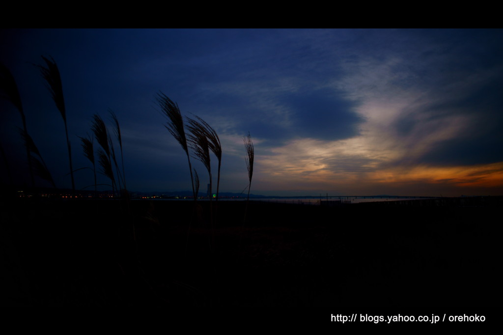 夕日、眺めて。