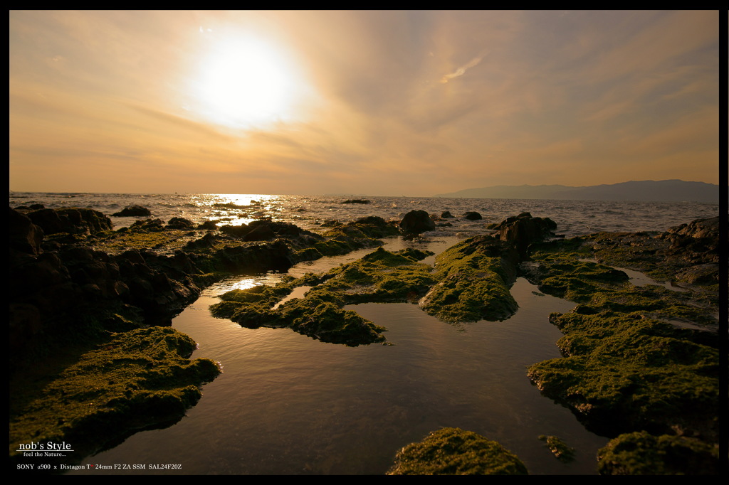 Rugged Coast。
