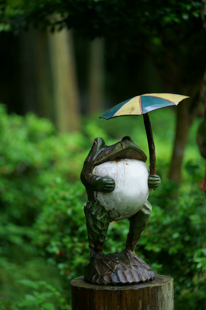 今日も雨…
