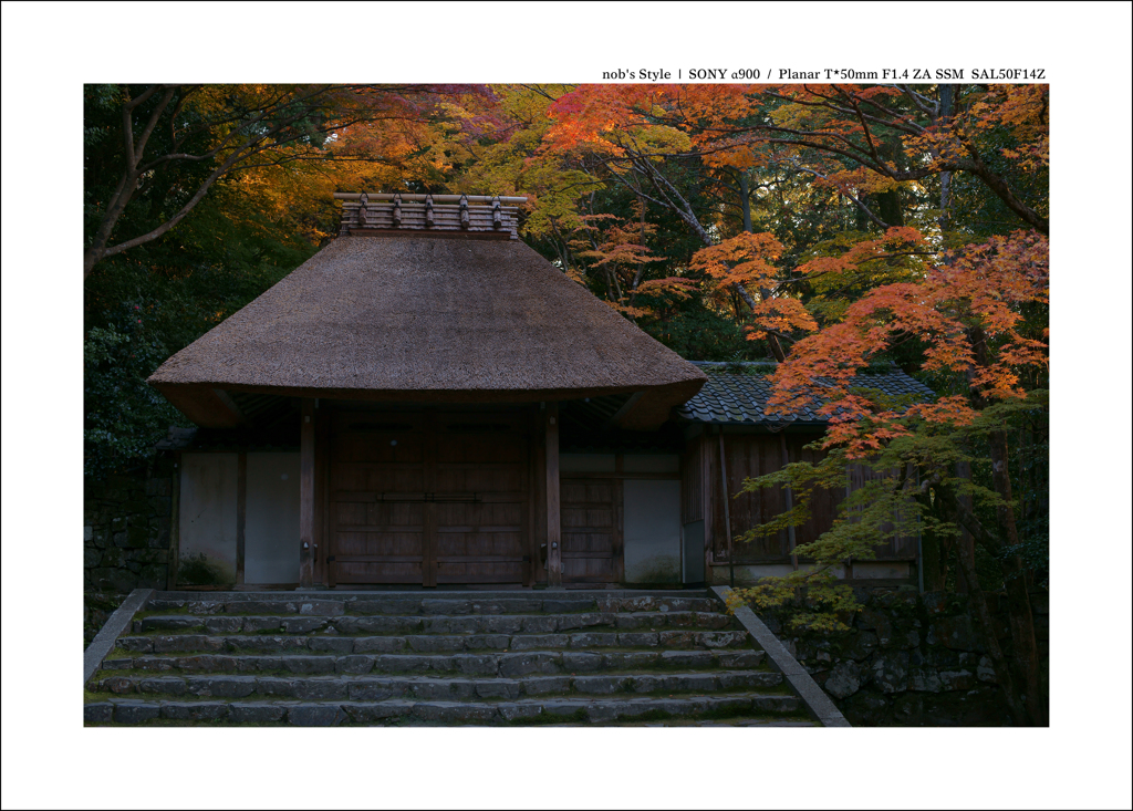 京都 | 秋の旅路　 34
