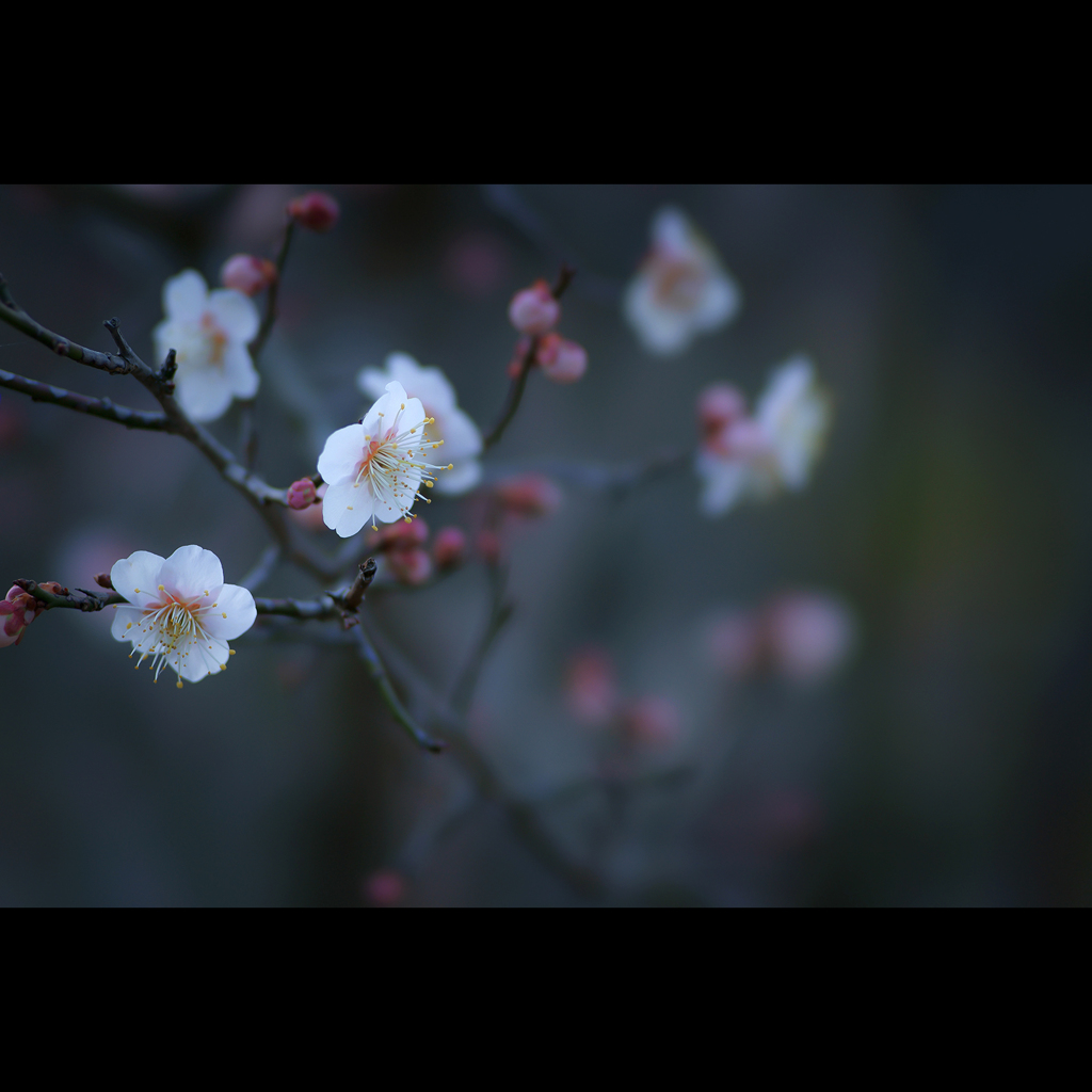 Previous【 February 】