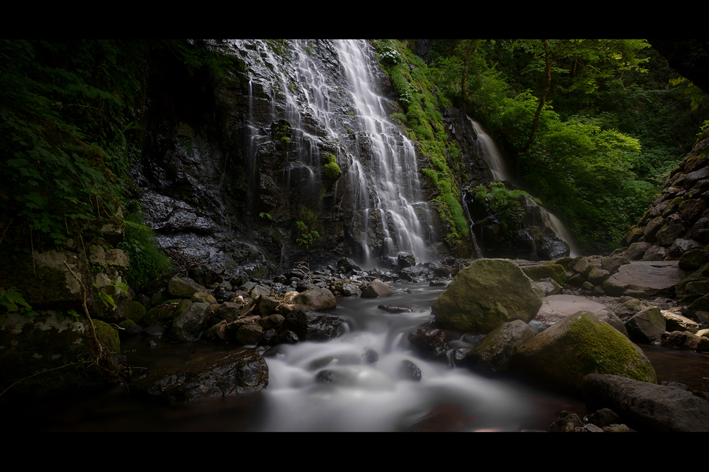 flow into