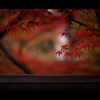 秋のぶらり京都　04