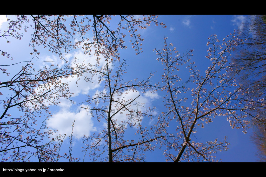空。