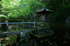 池に浮かぶ祠。