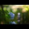 Previous【 July 】