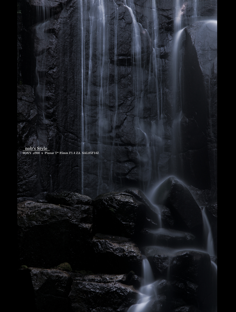 『 共 存 』 #01