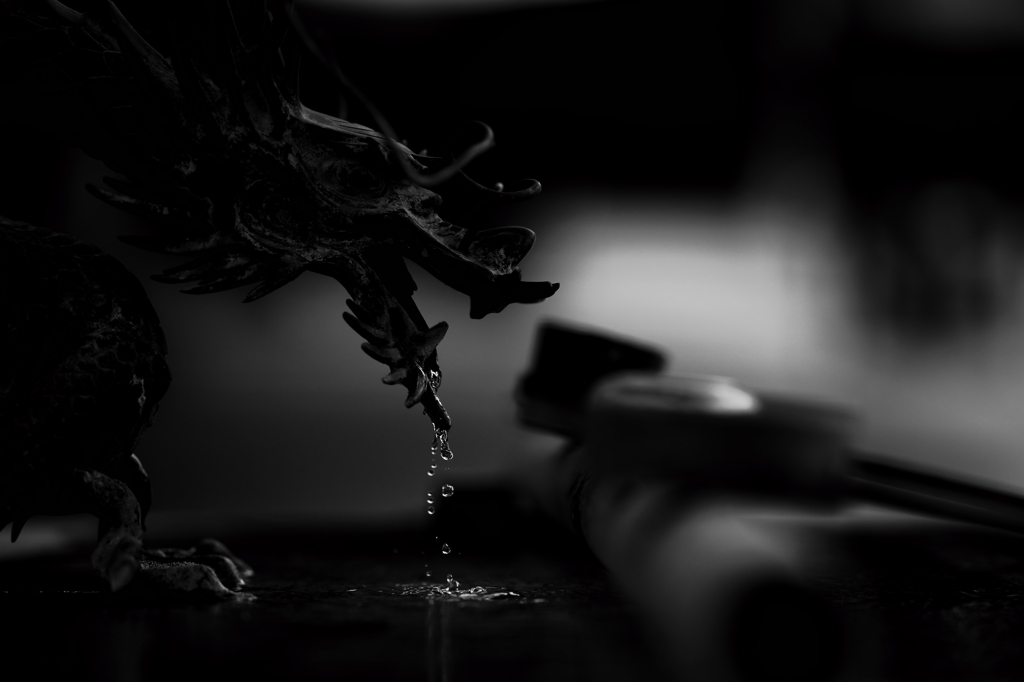 黒龍