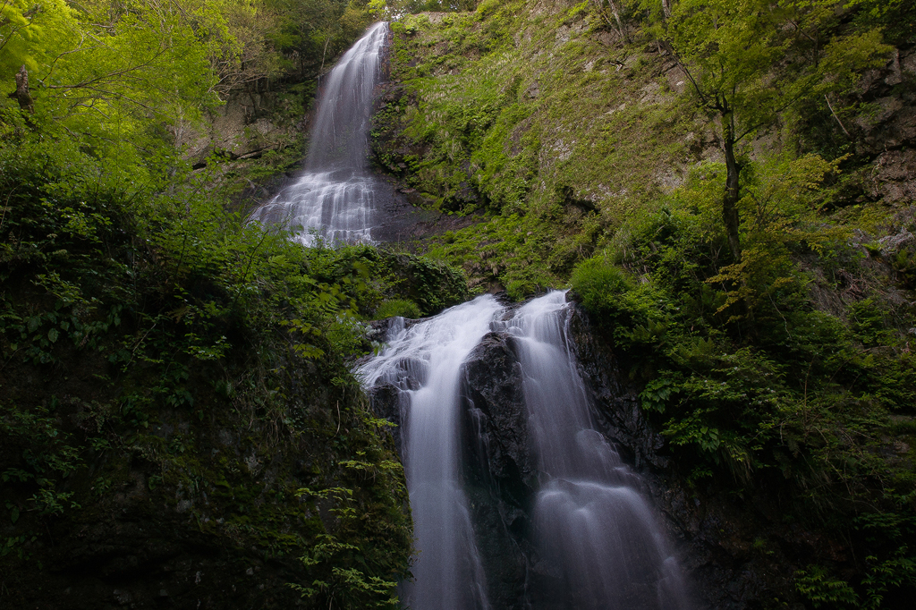 Blessings of Nature.