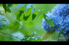 はじまりは、いつも雨。。。