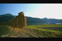 秋の日本情景。