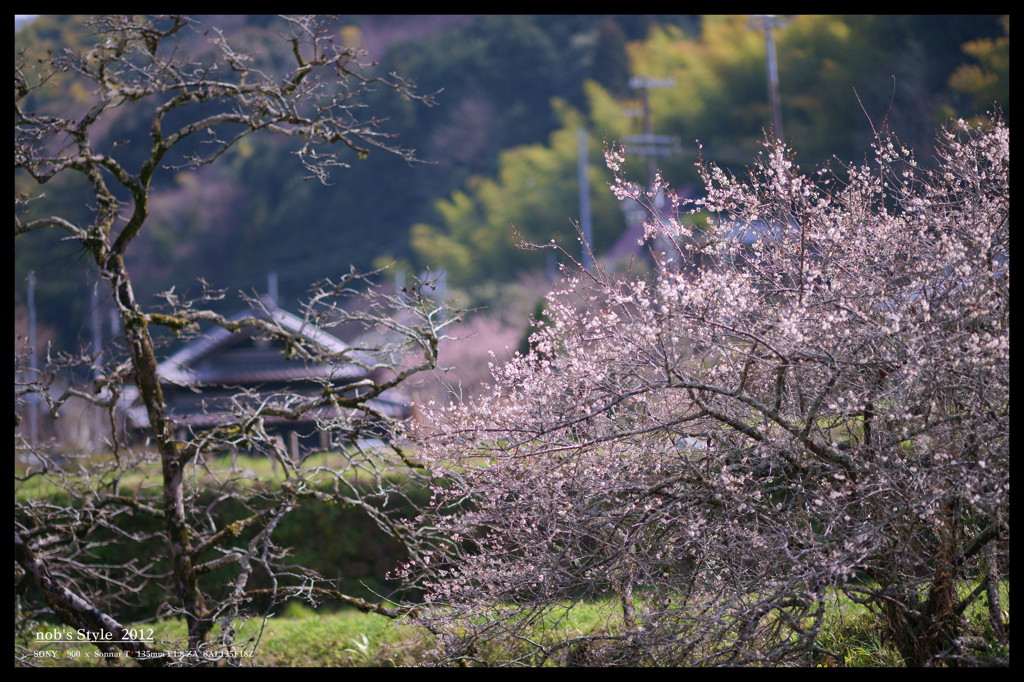 とある日本情景。。。