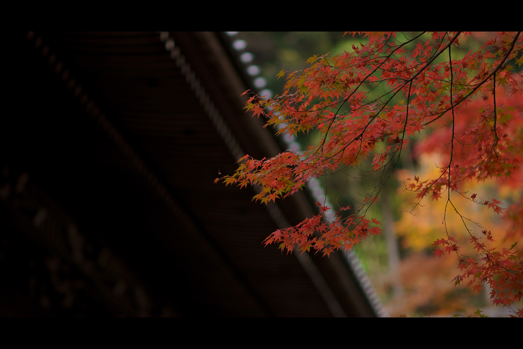 秋のぶらり京都　15