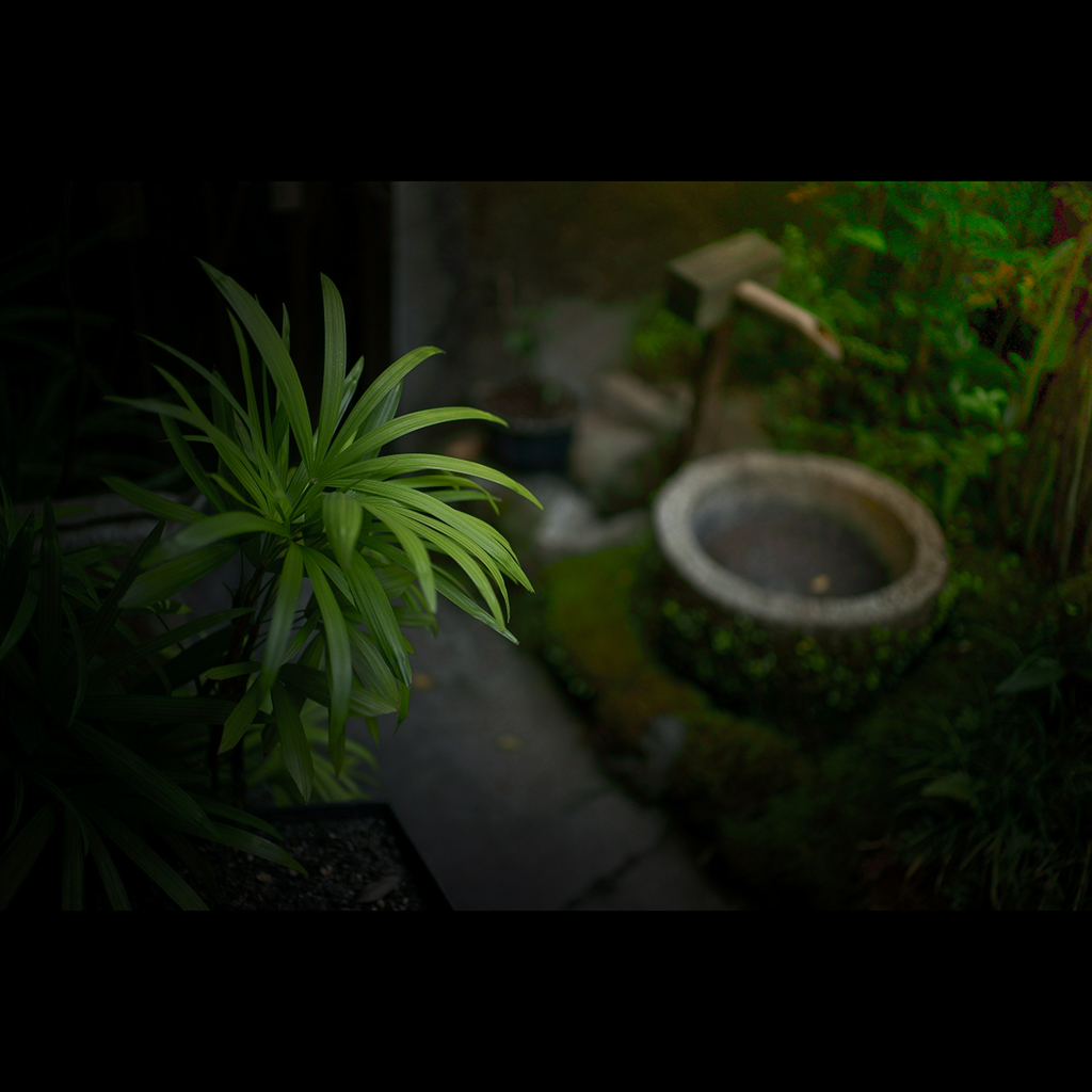 GARDEN