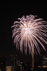 大田区平和都市宣言記念花火の祭典