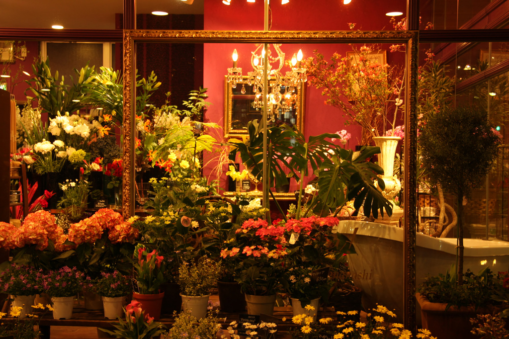 flower shop