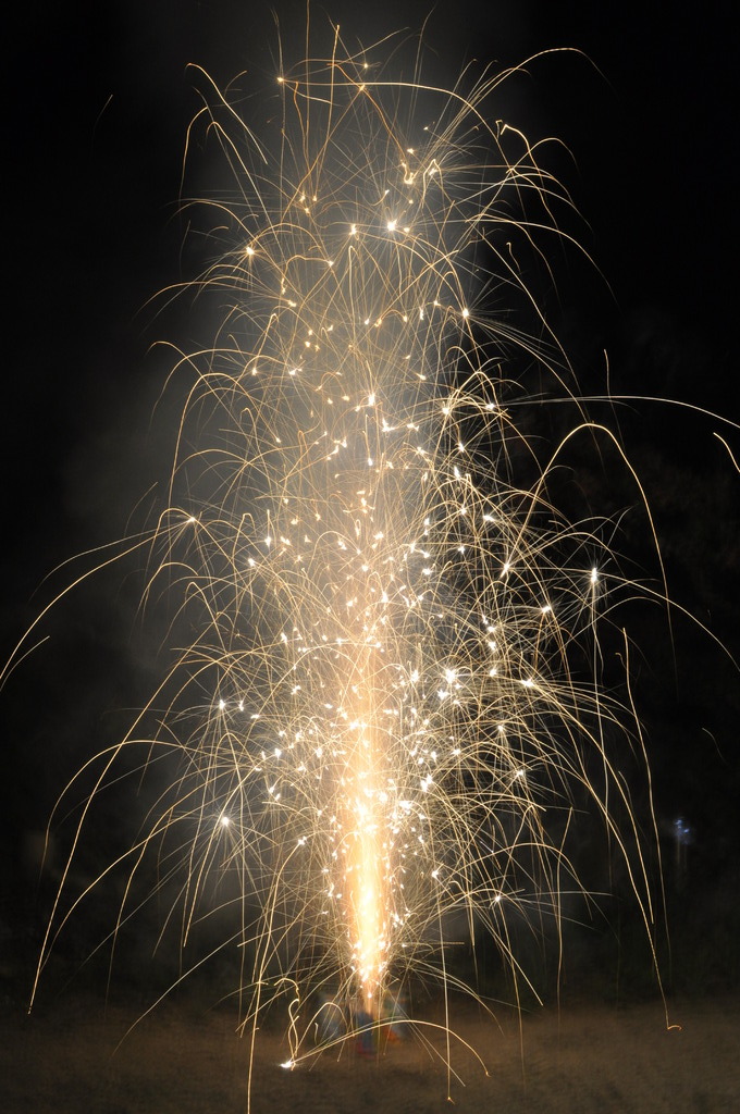 Fire　Tree♪