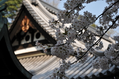 尾道～大山寺