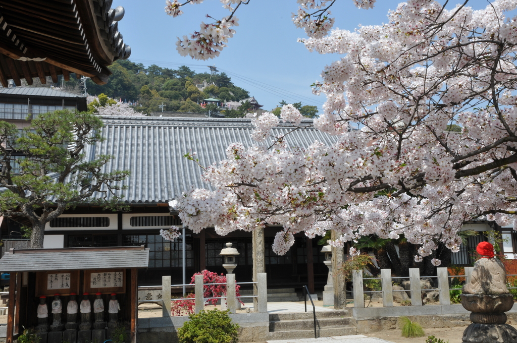 尾道～宝土寺