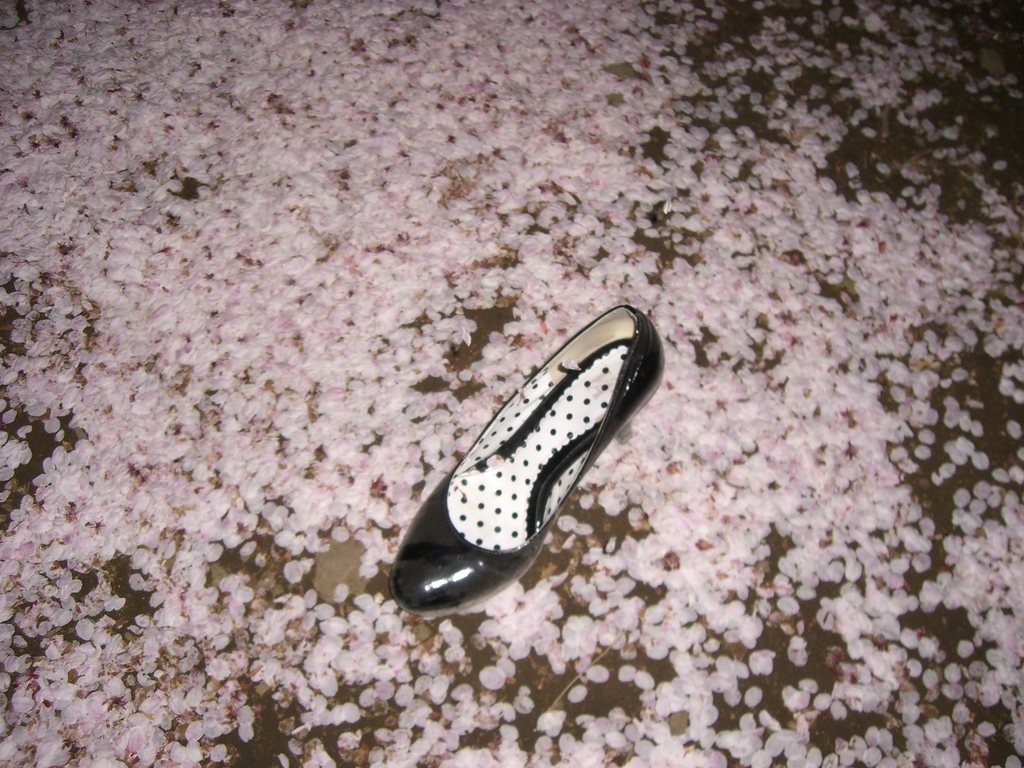 かたっぽ