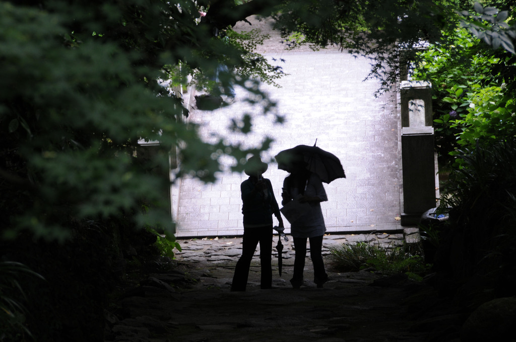 梅雨の頃